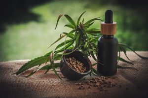 Read more about the article Que faut-il savoir de la graine cannabis autofloraison ?